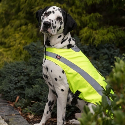 Colete de Segurança Refletor - Safer Life