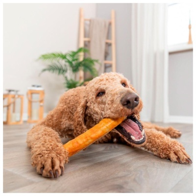 DENTAFUN ROLL - COLAGÉNIO COM FRANGO