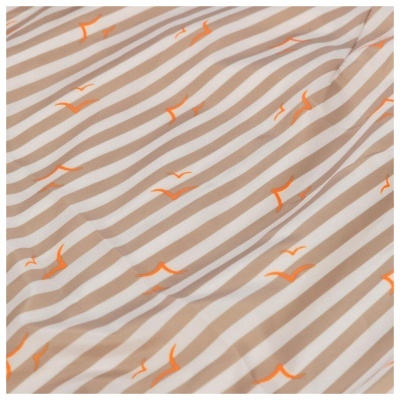 CAPA "BE NORDIC HUSUM"