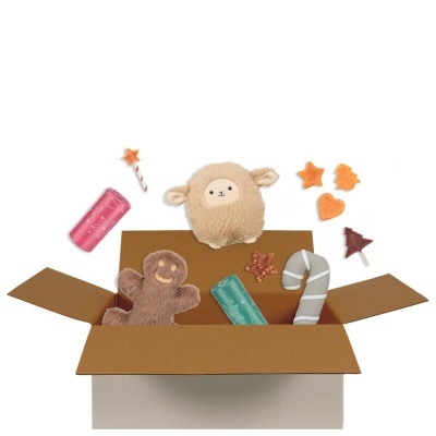 SURPRISE BOX "XMAS" (Porte Pequeno/Médio) - NATAL