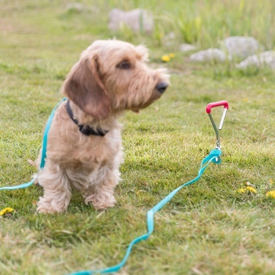 Marco de Amarração em Espiral - TX