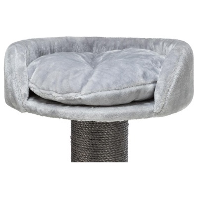 ARRANHADOR "MAURO XXL"