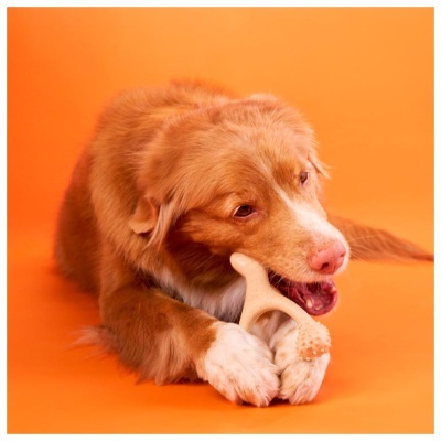 BETTERBONE - DURO (BEEF)