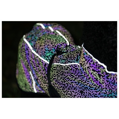 CAPA "LIMOUX REFLECT"