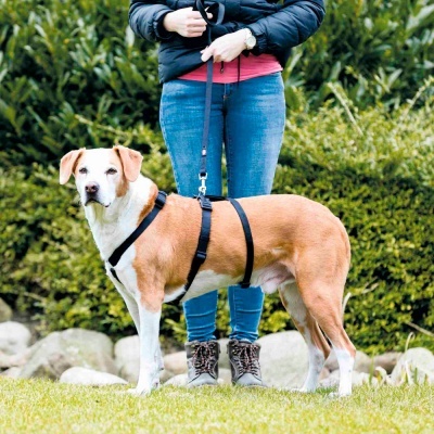 Peitoral STAY - Trixie