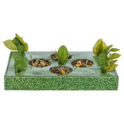 SNACK BAR EM CARTÃO PARA ROEDORES