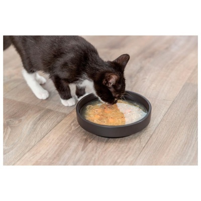 SOPA DE SALMÃO COM FRANGO