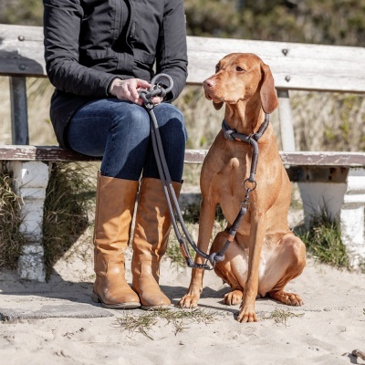 Trela de Apresentação "BE NORDIC" - Trixie