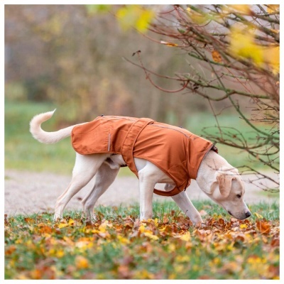 CAPA "CITYSTYLE DUBLIN"