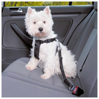 PEITORAL DE SEGURANÇA PARA AUTOMÓVEL