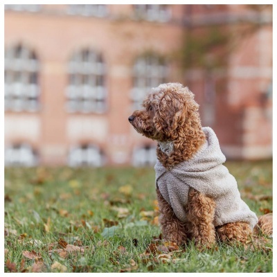 SWEAT "CARSON" PARA CÃES