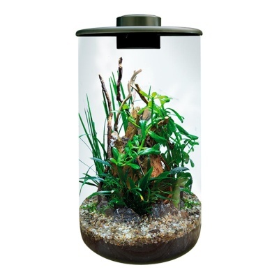 BIOART CYLINDER - NANO TERRÁRIO