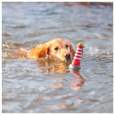 AQUA TOY - FAROL EM BORRACHA COM CORDA