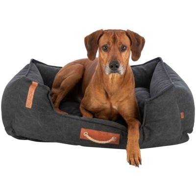 Cama "BE NORDIC FÖHR" (Preto) -Trixie