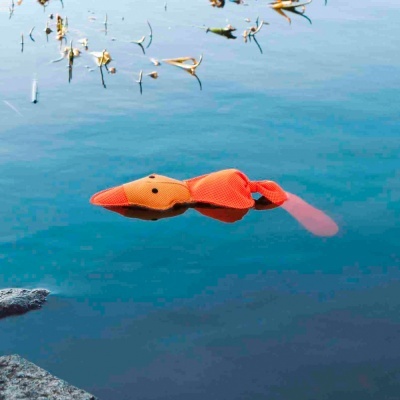 "Aqua Toy" - Pato Flutuante em Tela de Poliéster - TX