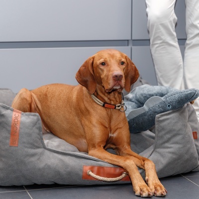 Estrangulador "BE NORDIC" - Trixie