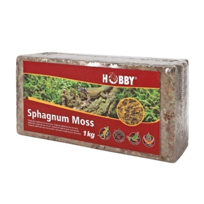 HOBBY - MUSGO "SPHAGNUM"