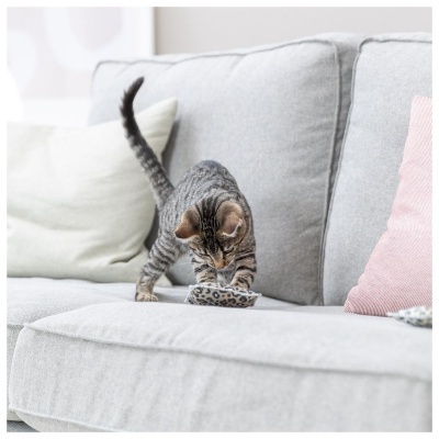 ALMOFADAS "LEO" EM ALGODÃO COM RECHEIO DE VALERIANA