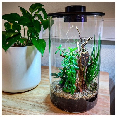 BIOART CYLINDER - NANO TERRÁRIO