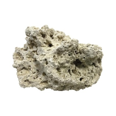 BLUE MARINE - ROCHA RECIFE