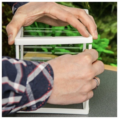 MATERNIDADE NIDO 3.1