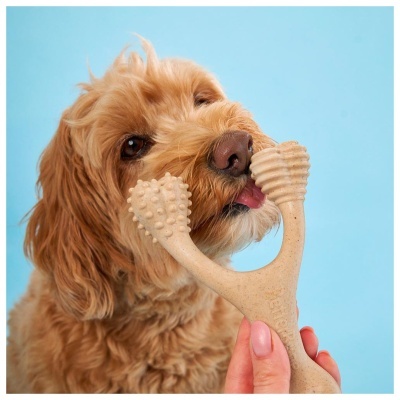 BETTERBONE - MACIO (BEEF)