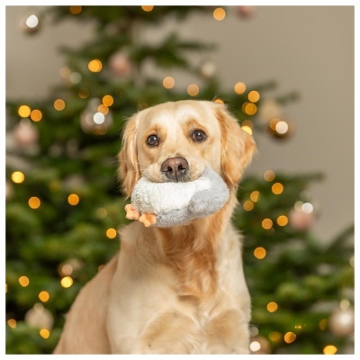 PINGUIM EM PELÚCIA - NATAL