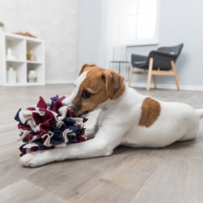 Bola em Tecido para esconder Snacks - Trixie