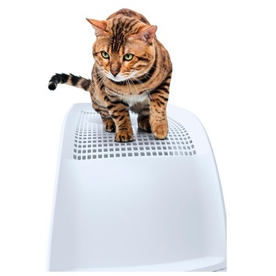 TOILETE "FRIDA" COM ENTRADA SUPERIOR PARA GATOS