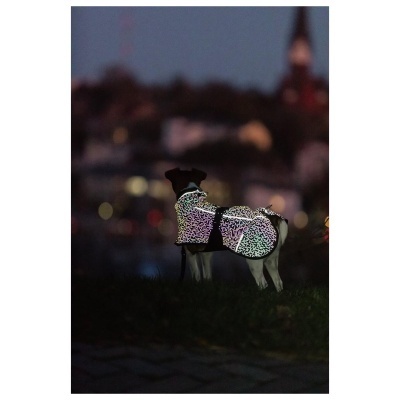 CAPA "LIMOUX REFLECT"