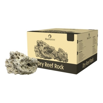 BLUE MARINE - ROCHA RECIFE