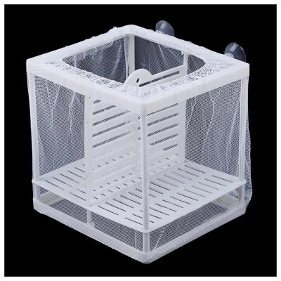 SUPERFISH - MATERNIDADE/CRIADEIRA EM REDE