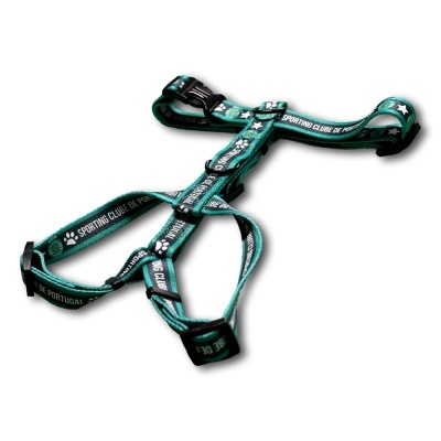 PEITORAIS OFICIAIS DE CLUBES