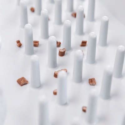 JOGO "FUN BOARD XXL"