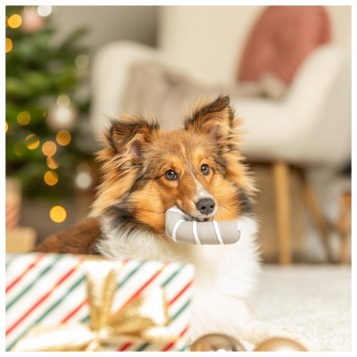 BENGALA-REBUÇADO EM LATÉX COM SOM - NATAL