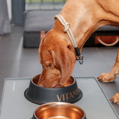 Estrangulador "BE NORDIC" - Trixie