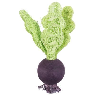 Morango e Beterraba em Madeira/Lufa - TX