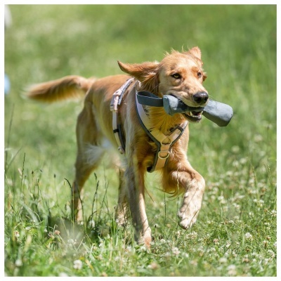 CHURRO PARA TREINO - TRIXIE
