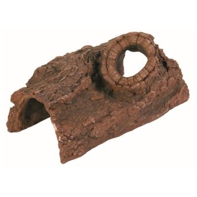 "TRIXIE" - TRONCO CAVERNOSO