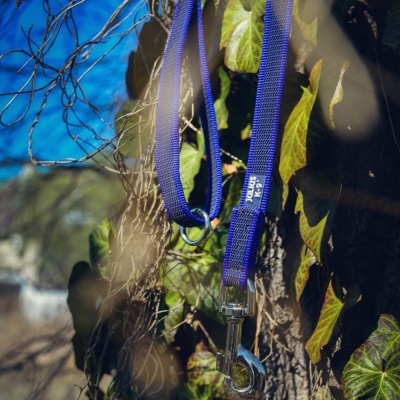 Trela "JULIUS-K9" Color & Gray Super-Grip (Azul)