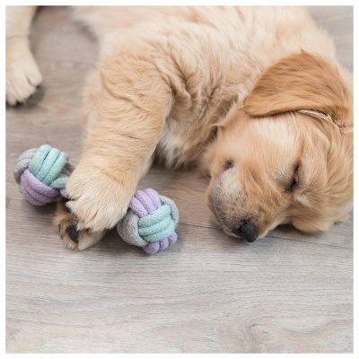 JUNIOR - APPORT EM CORDA DE ALGODÃO