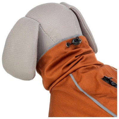 CAPA "CITYSTYLE DUBLIN"