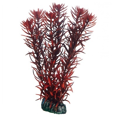 "HOBBY" - PLANTAS SET 3 (KIT 6 PLANTAS)