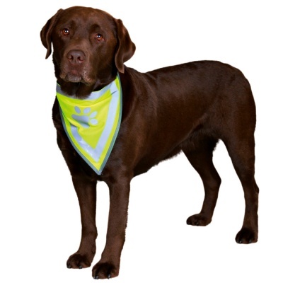 Lenço Refletor - Safer Life