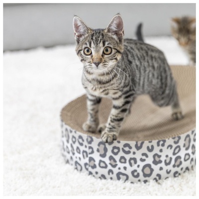 CAMA/ARRANHADOR EM CARTÃO "LEO"