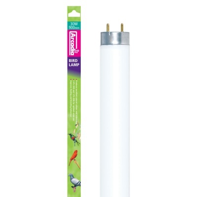 LÂMPADA FLUORESCENTE "BIRD LAMP/BIRD SYSTEMS"