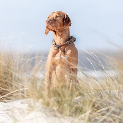 Estrangulador "BE NORDIC" - Trixie