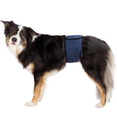 Banda para Cães Incontinentes