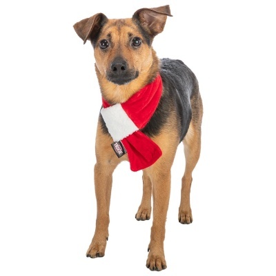 CACHECOL DE NATAL PARA CÃES