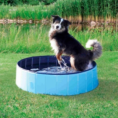 PISCINA PARA CÃES (Especial Verão)